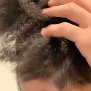 Meet your Posher, Bernard